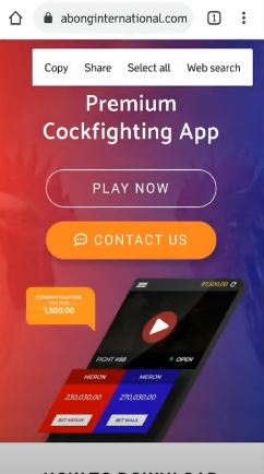 Sabong is a premium cockfighting app